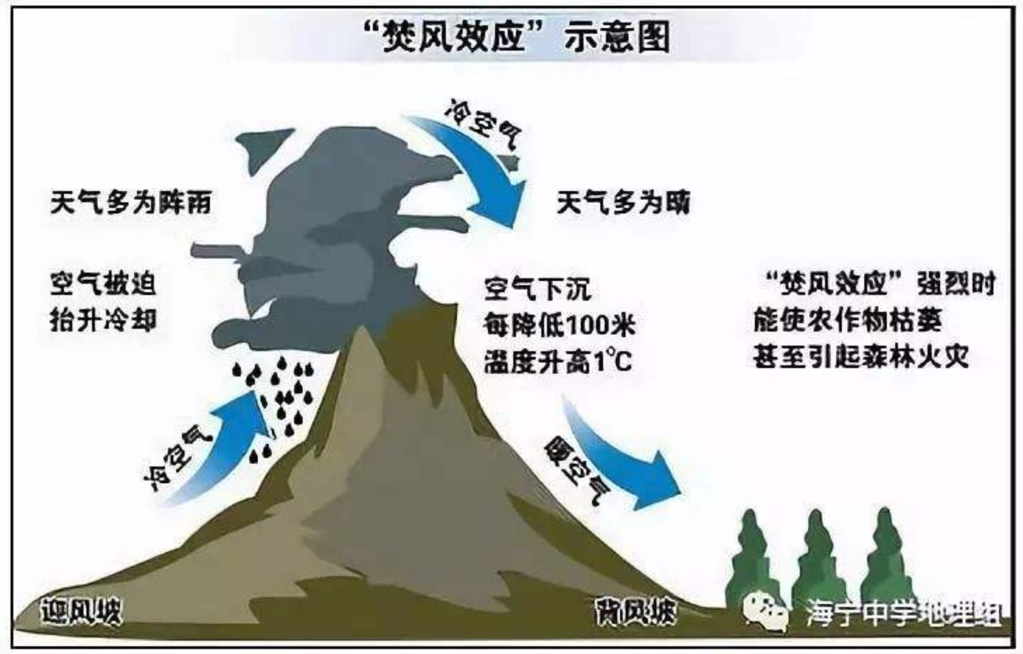 睡前消息101】又是凉山火灾，又是19人牺牲，我们该吸取什么教训？ | 睡前消息在线文稿